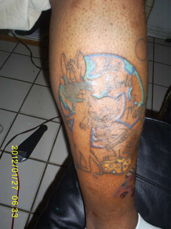 Pinky and The Brain (leg sleeve part 2 of 6) tattoo