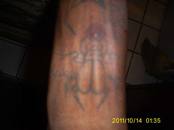 Scarab beetle tattoo