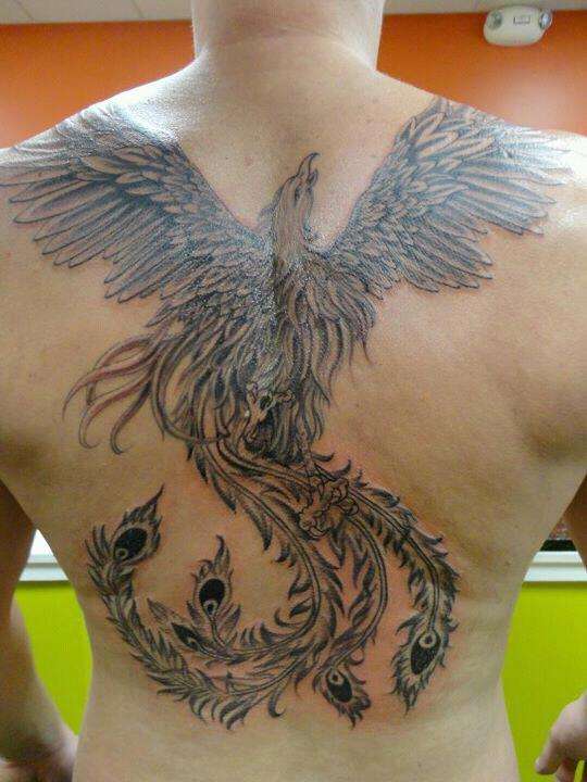 The Phoenix tattoo