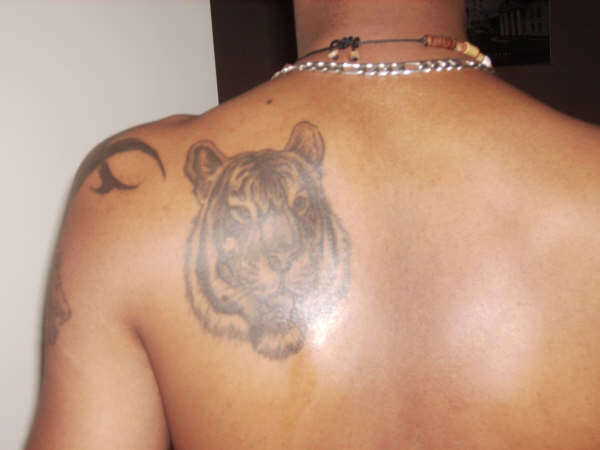 TigerBack tattoo