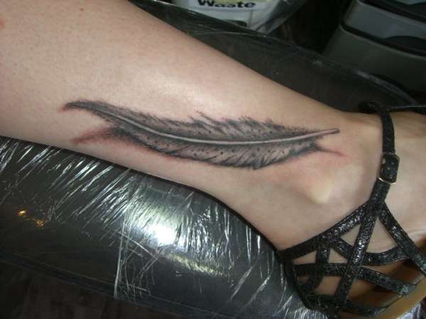 Feather tattoo tattoo