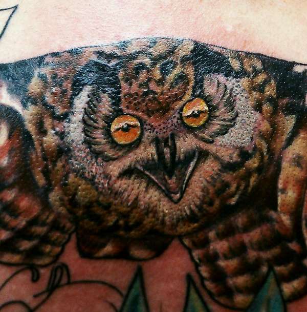 eagle owl more color tattoo