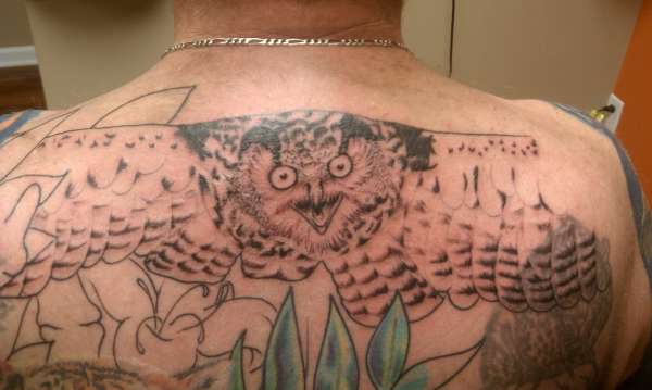 eagle owl tattoo