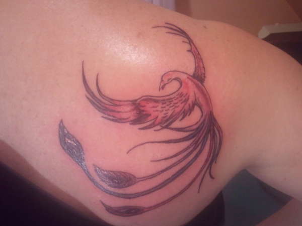 phoenix tattoo tattoo