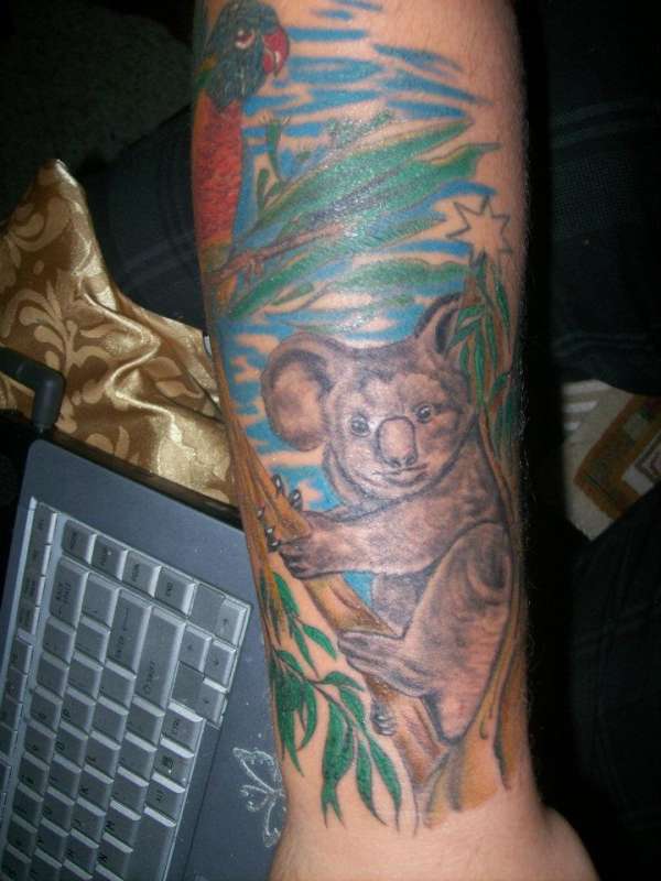 Koala - part of aussie animal sleeve tattoo