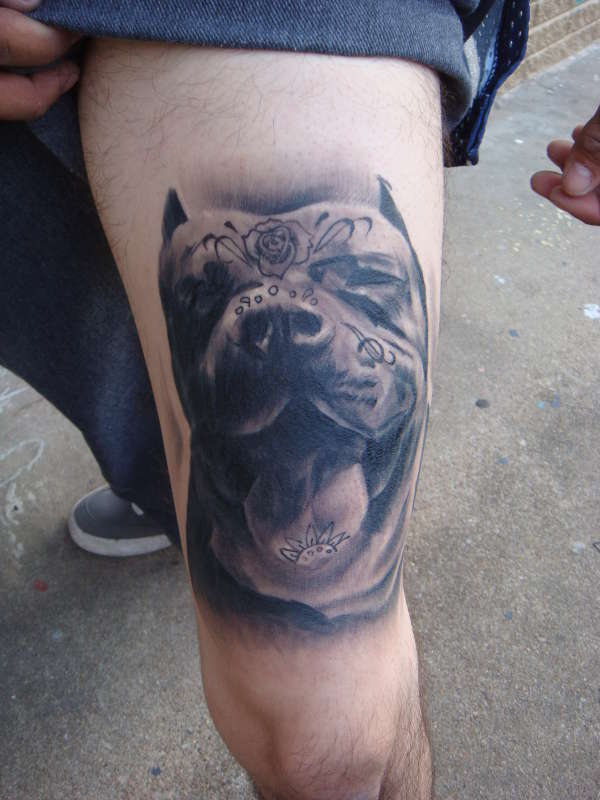 day of the dead pitbull tattoo