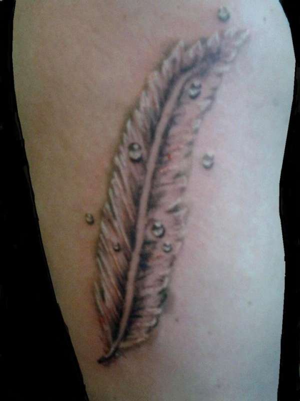 feather with water droplets tattoo