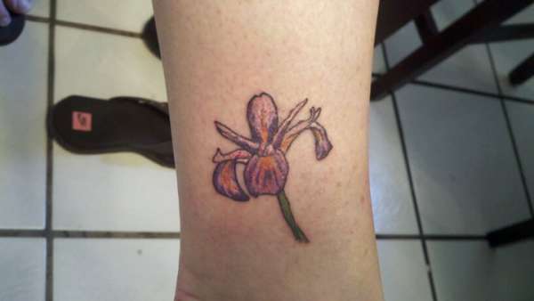 iris tattoo