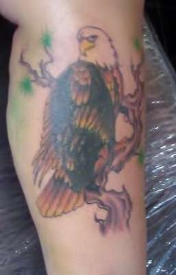 Eagle tattoo