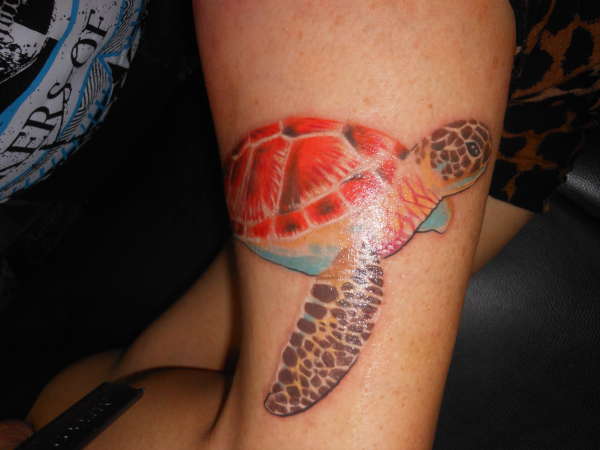 Melitta Hinton sea tortoise tattoo by lex collins tattoo