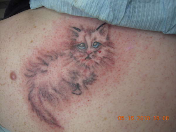 cat tattoo