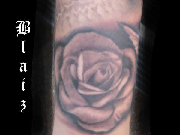 gray rose tattoo