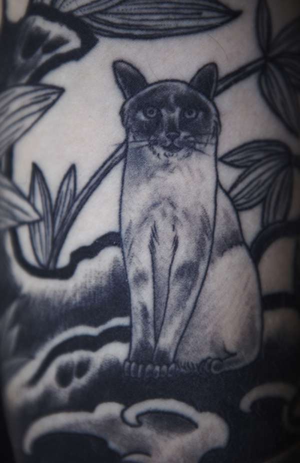 siamese cat tattoo