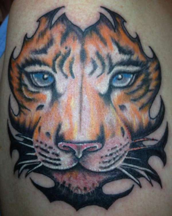 tiger eyes tattoo