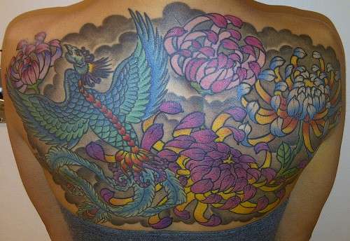Chrysanthemums & Phoenix tattoo