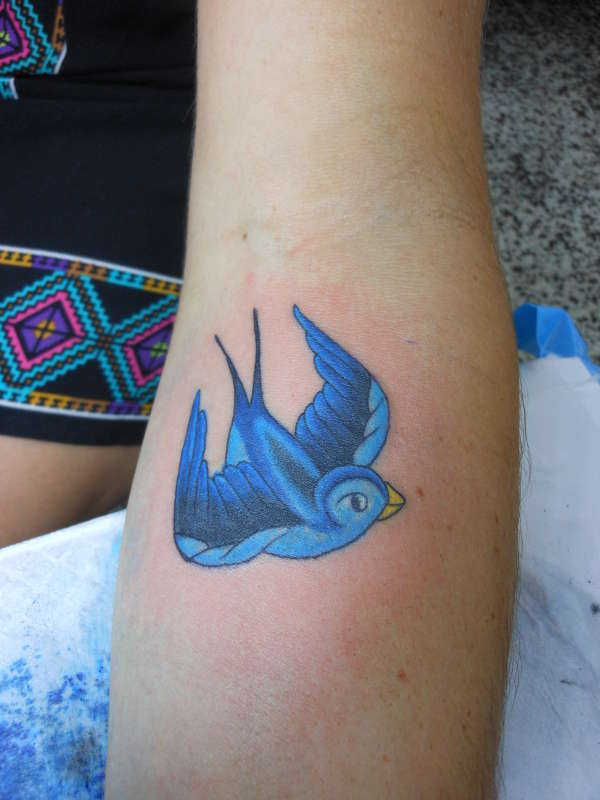 bluebird by lex collins at yeppoon tattoo studio tattoo