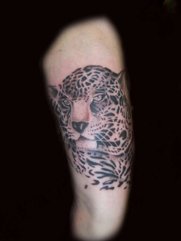 wildlife tattoo