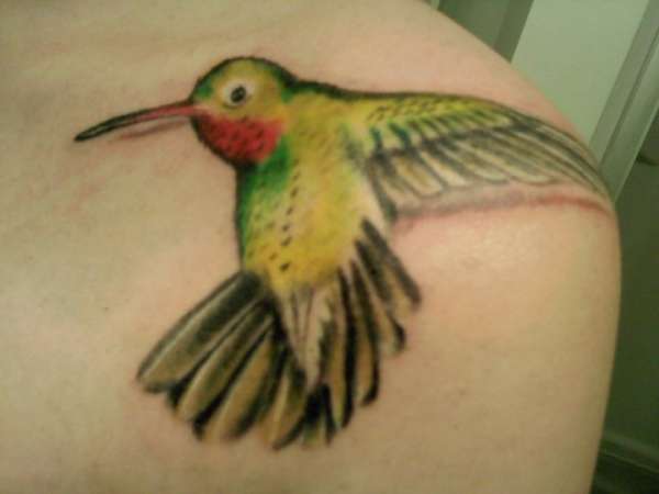 Hummingbird tattoo