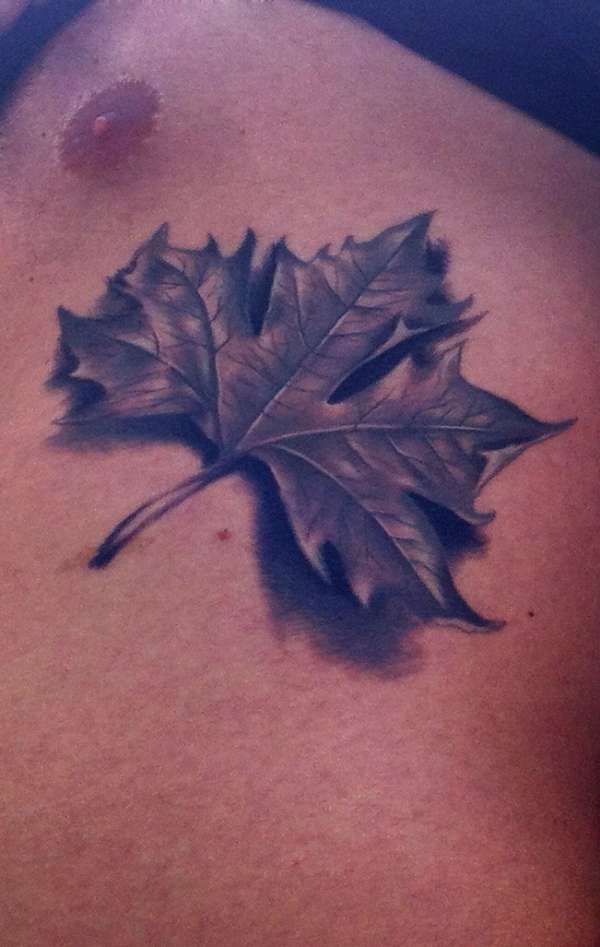 maple leaf tattoo maple leaf tattoo