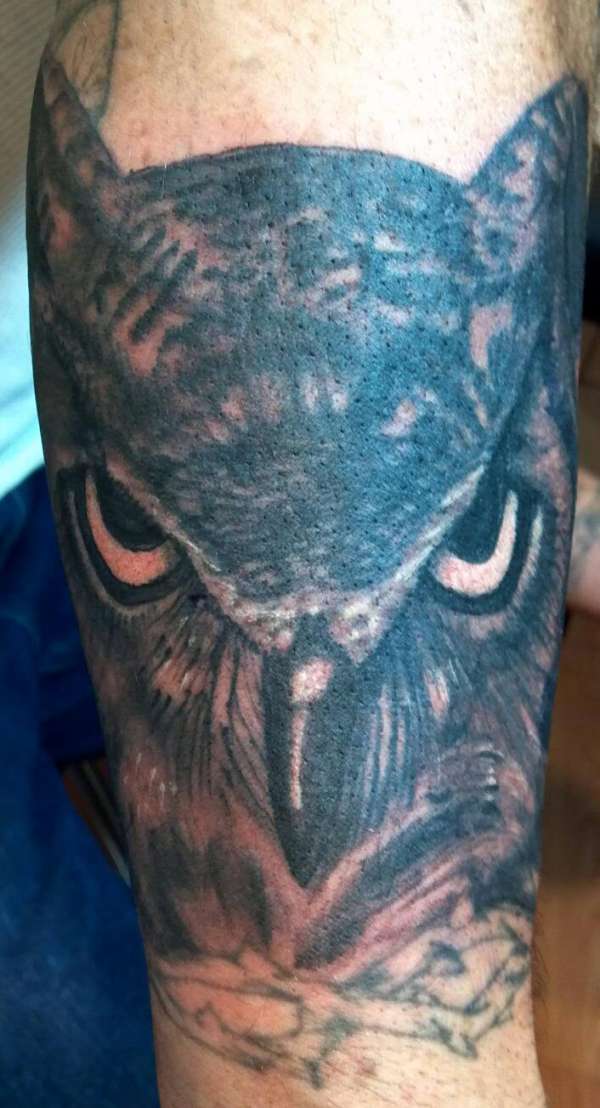 Owl tattoo tattoo