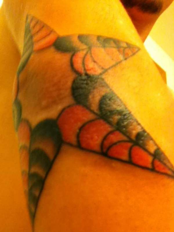 Spiderweb/NauticalStar tattoo