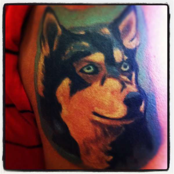 husky tattoo