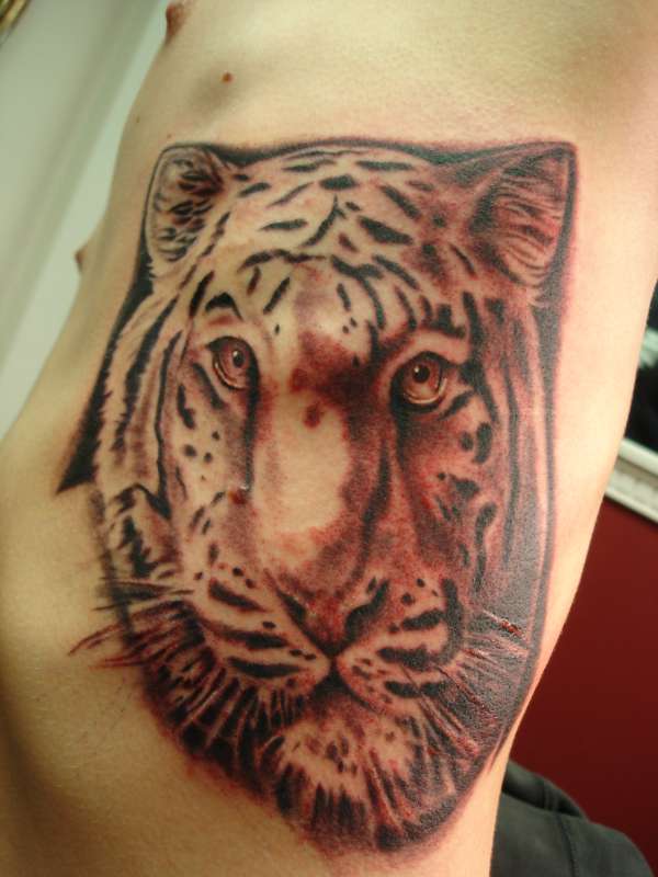tiger tattoo