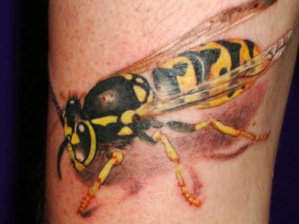 wasp tattoo on back of arm tattoo