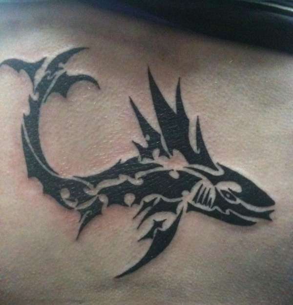 Shark tattoo