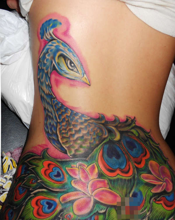 cover up peacock tattoo