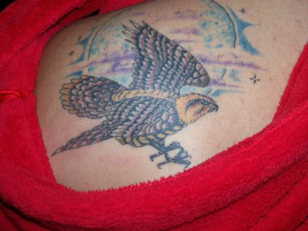 Hawk in the night tattoo
