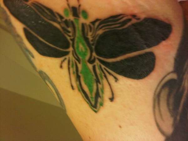 I am a gadfly sent by God... tattoo