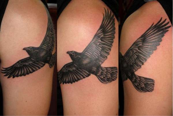 Raven tattoo