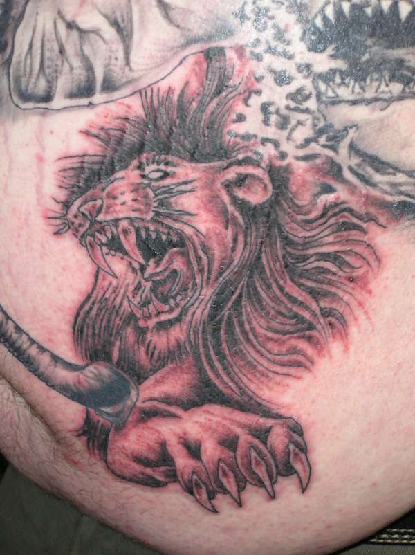 lion tattoo