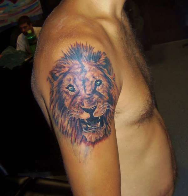 lion tattoo by kevin gordon tattoo