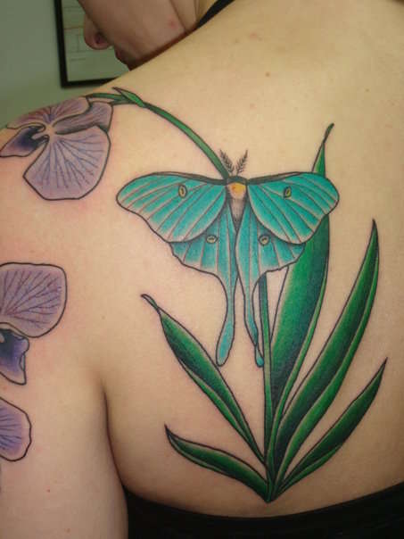 luna moth and orchids tattoo