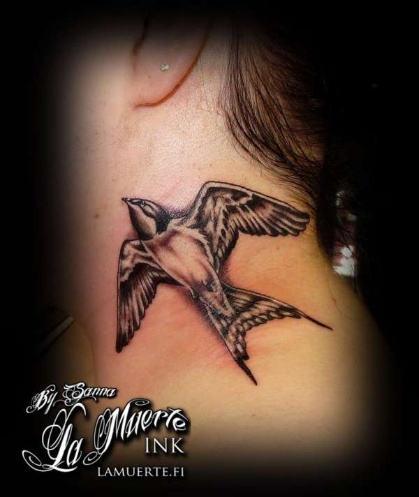 Barn Swallow tattoo