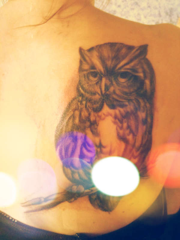 Owl Back Tattoo tattoo