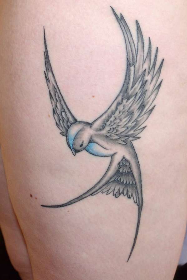 Swallow with a touch of blue tattoo