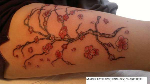 cherry blossom tattoo