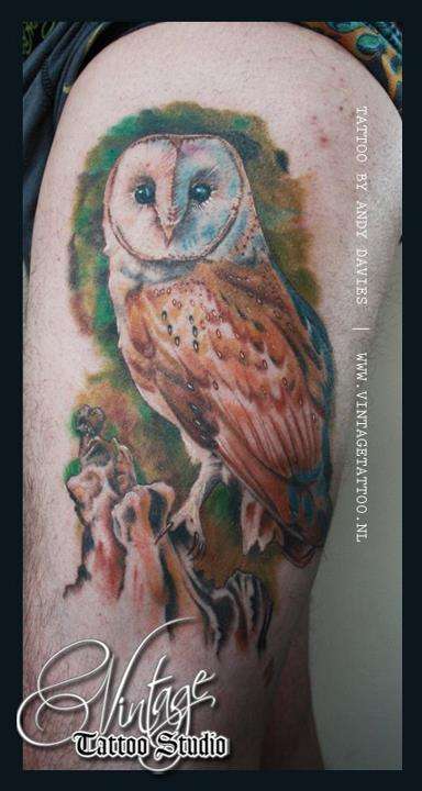 owl tattoo