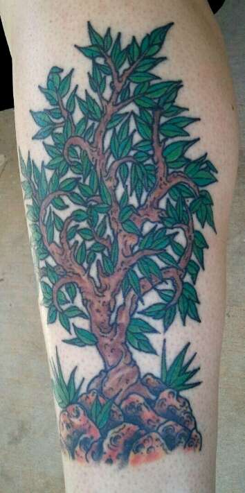 Tree tattoo tattoo