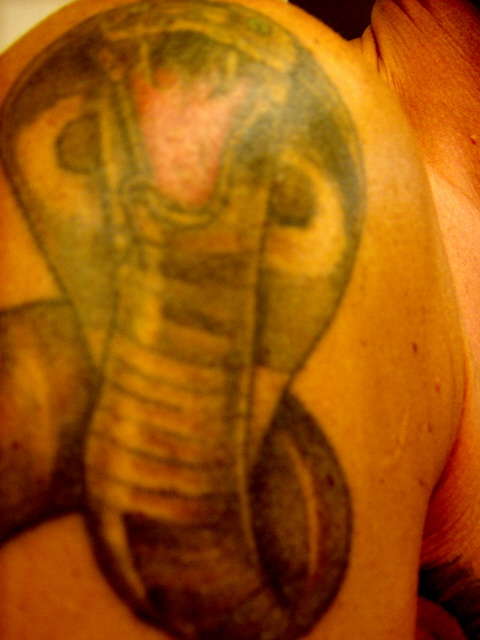 King Cobra tattoo