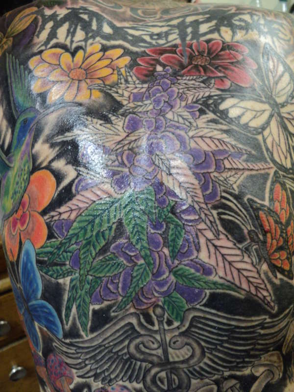 Purplr Kush plant in progress tattoo