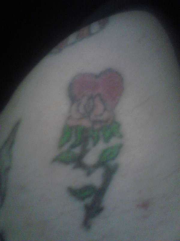 rose tattoo