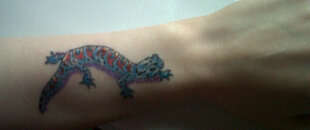 My gecko friend on my wrist tattoo