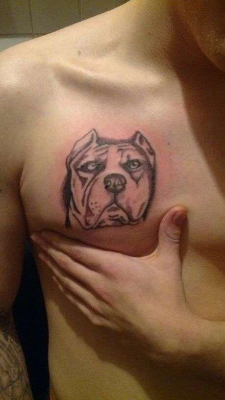 pitbull tattoo designs for men