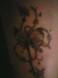 butterfly tattoo