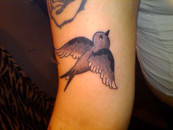 Darker shaded Swallow tattoo