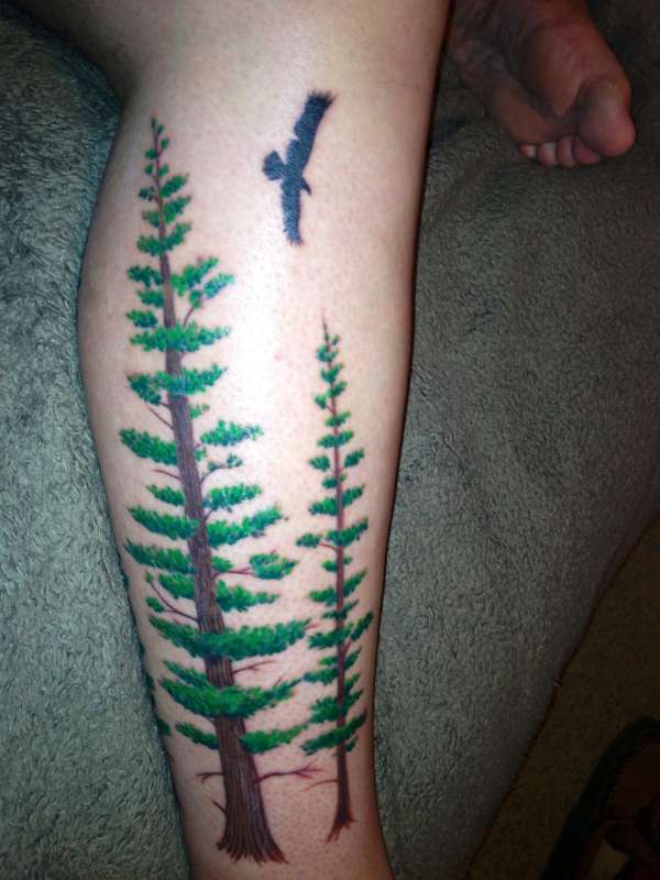 Redwoods tattoo